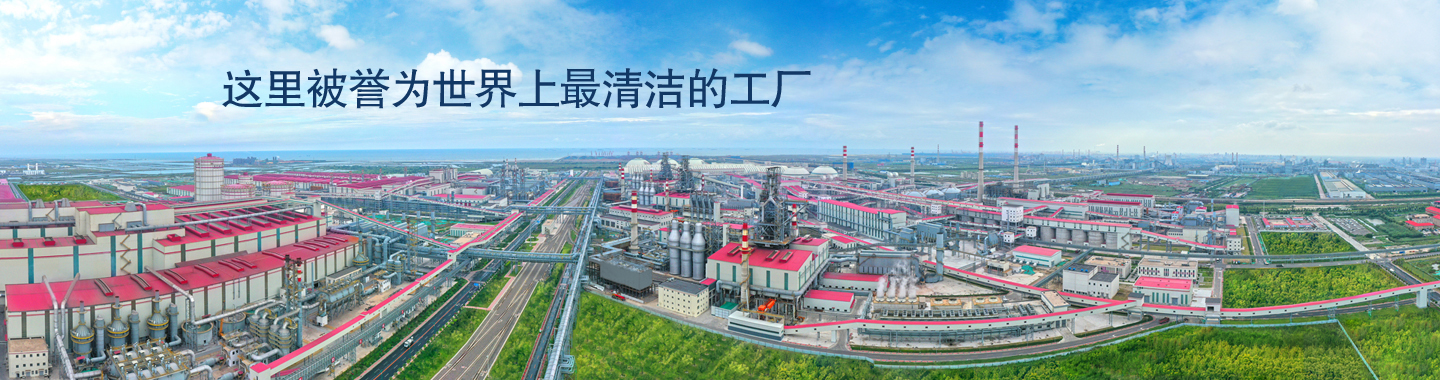 【续约】河钢唐钢与麟威咨询携手精益之路 