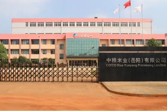 【续签】岳阳米业与麟威咨询携手精益之路
