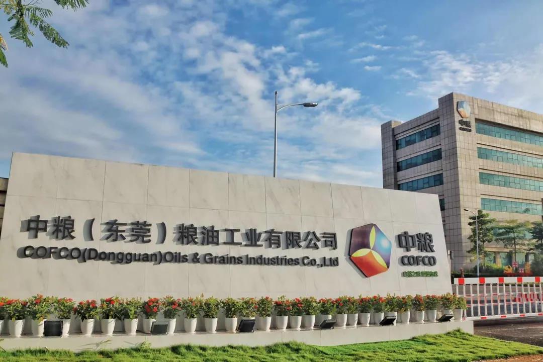 【签约】东莞米业与麟威咨询携手精益之路 【签约】东莞米业与麟威咨询携手精益之路